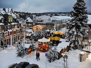 Apartment Winterberg  16