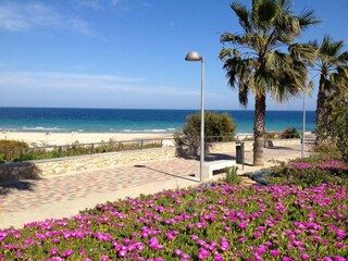 Holiday house Mil Palmeras Environment 24