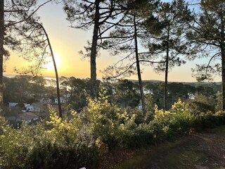 Casa de vacaciones Lacanau Grabación al aire libre 5