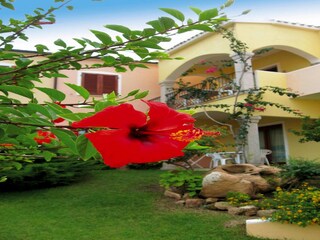 Vakantiepark Badesi  35