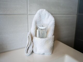 Holiday house Elahuizen Features 20