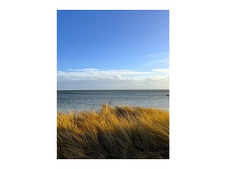 Ferienwohnung Großenbrode Außenaufnahme 4