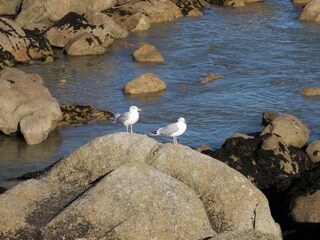 Holiday house Sibiril Environment 40