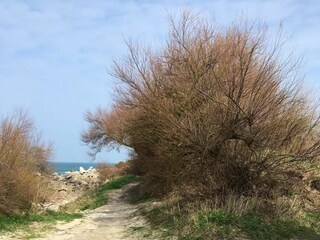 Holiday house Sibiril Environment 45