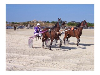 Ferienhaus Sibiril Umgebung 47