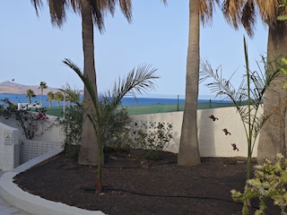 Blick in den Garten