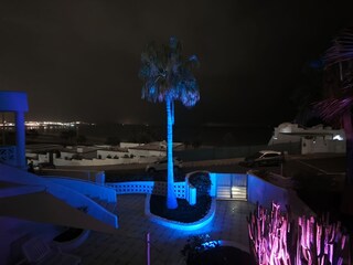 Unser Garten bei Nacht