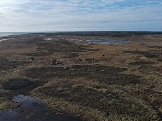 Vakantiehuis Læsø  14