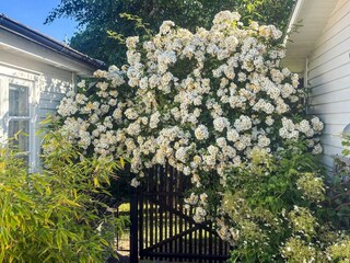 Holiday house Kalmar Outdoor Recording 31
