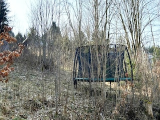 Holiday house Allrode Environment 30