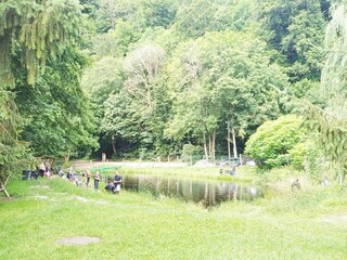 Ferienhaus Allrode Umgebung 31