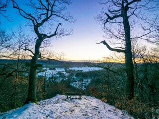 Holiday house Allrode Environment 32