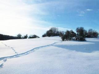 Casa per le vacanze Allrode Ambiente 34