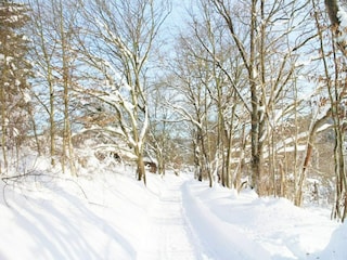 Ferienhaus Allrode Umgebung 35