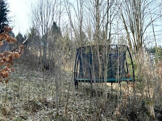 Vakantiehuis Allrode Omgeving 30
