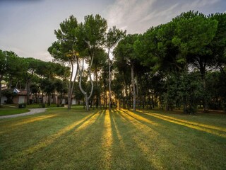Ferienpark San Vincenzo Außenaufnahme 2