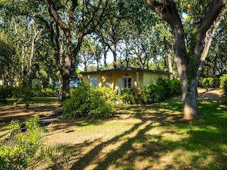 Vakantiepark San Vincenzo Buitenaudio-opname 13