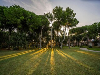 Parco vacanze San Vincenzo Registrazione all'aperto 11