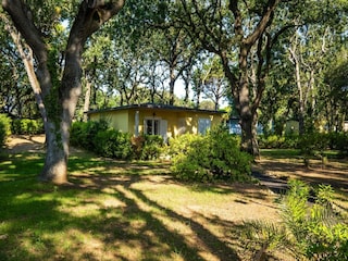 Ferienpark San Vincenzo Außenaufnahme 6