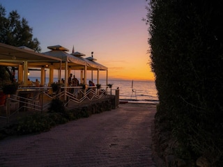 Holiday park San Vincenzo Environment 14