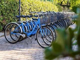 Holiday park San Vincenzo  21