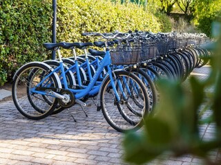 Vakantiepark San Vincenzo  21