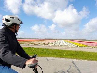 Tulpenweide fietsen bij de duinen