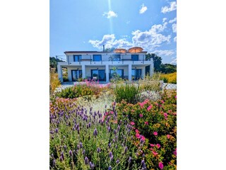 Blick vom mediterranen Garten auf das Haus