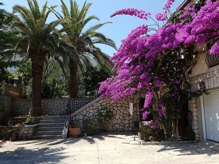 Apartment Mali Losinj Außenaufnahme 3
