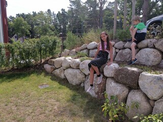 der Wald hinter dem Haus