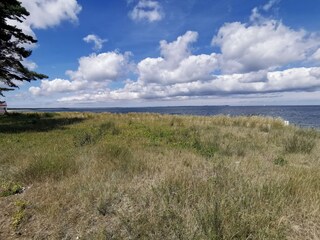Stranddüne vor dem Haus