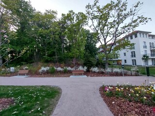 Erweiterter Kurpark neben dem Haus