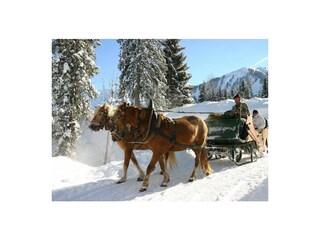 Kutschenfahrten mit Otto Berwanger direkt vom Hotel aus