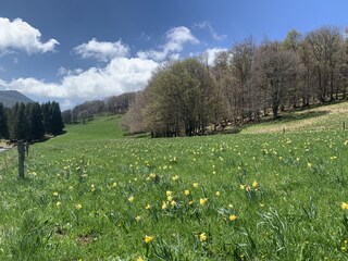 Ferienhaus Alès Umgebung 16