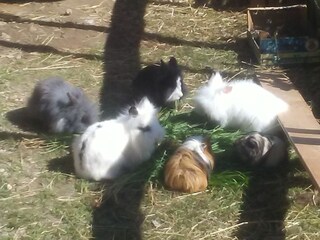 Appartement Lana Buitenaudio-opname 13