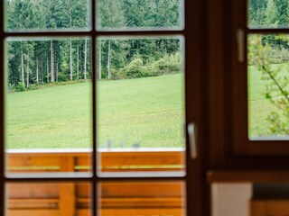 Aussicht ins Grüne