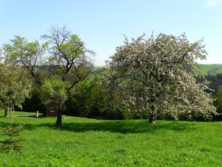 Wanderung am Hagebuttenweg