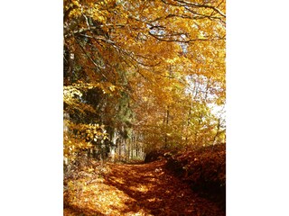 Wanderung Vogellehrpfad