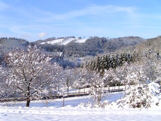 Pöhlatal im Winter