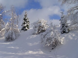 Wanderung nach Mildenau