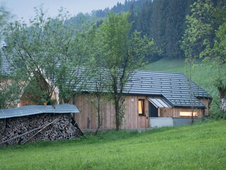 Ferienhaus Zell am Moos Außenaufnahme 6