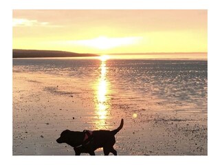 Ferienhaus Scharendijke Umgebung 39
