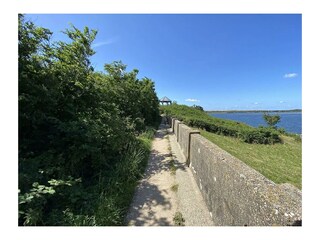 Ferienhaus Scharendijke Umgebung 36