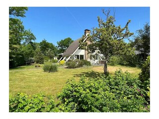 Ferienhaus Scharendijke Außenaufnahme 5