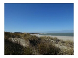 Ferienhaus Scharendijke Umgebung 37