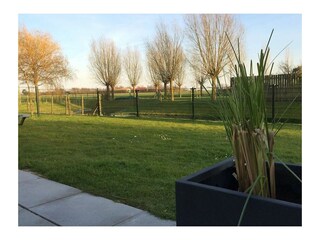 Ferienhaus Scharendijke Außenaufnahme 2