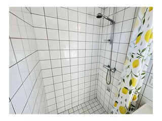 Ferienhaus Ellemeet Ausstattung 22