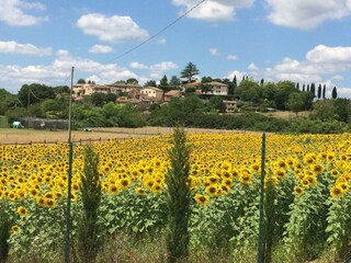 Holiday apartment Monteriggioni Outdoor Recording 12