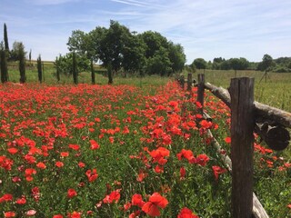 Appartamento per vacanze Monteriggioni Ambiente 24