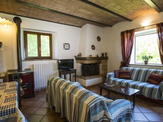 Living-diningroom with fireplace and SatelliteTV